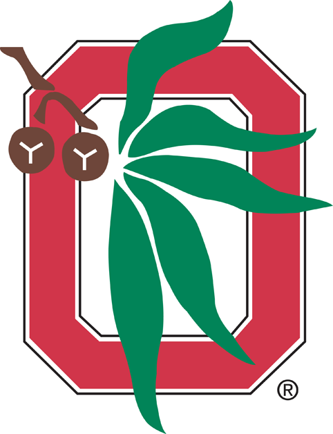 Ohio State Buckeyes 1968-Pres Alternate Logo t shirts iron on transfers v3